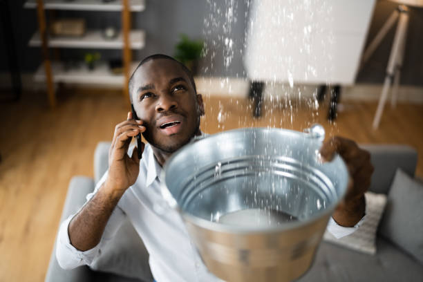 Best Flood damage cleanup  in Flint, MI