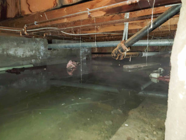 Best Fire Damage Restoration  in Flint, MI