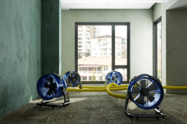 Best Fire Damage Restoration  in Flint, MI